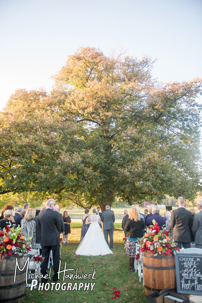 Wedding by the Linden Tree
